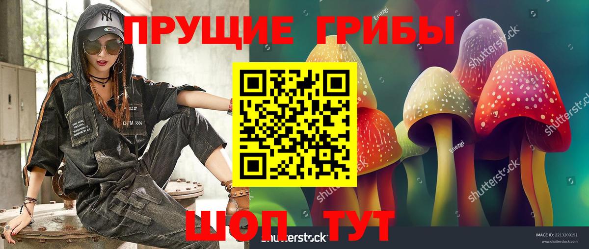 Новосибирск  Галлюциногенные грибы прущие грибы  Вход с VPN 