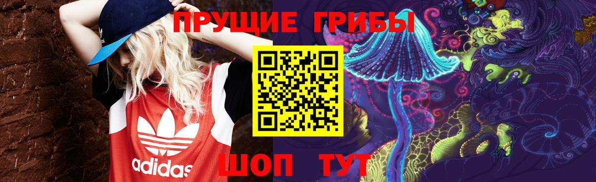 Псилоцибиновые грибы Psilocybine cubensis Новосибирск